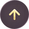 scroll to top